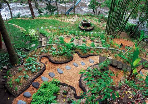 A Beginner S Guide To Permaculture Gardening Permaculture Principles