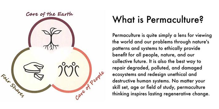 What Is Permaculture? - Planting Up