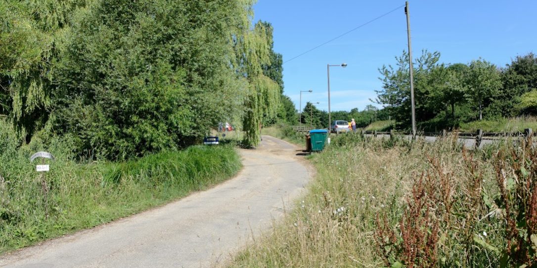 The overgrown plot area