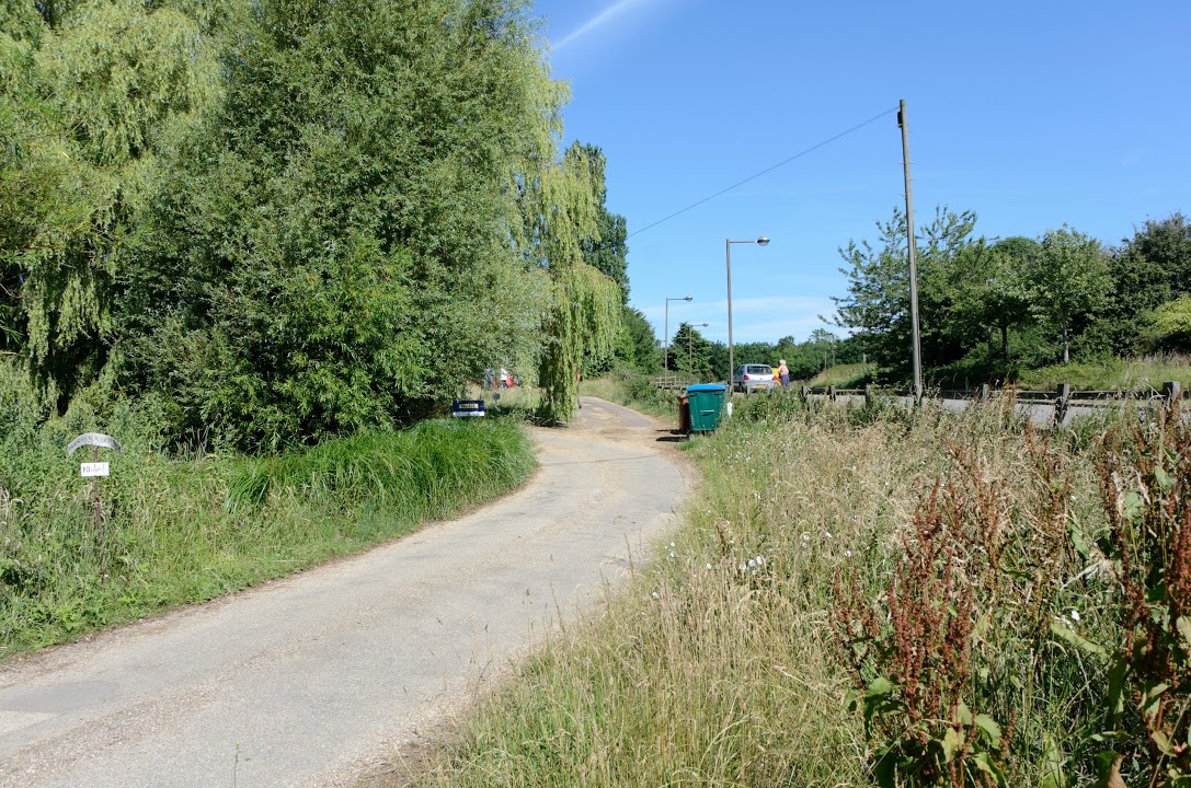 The overgrown plot area