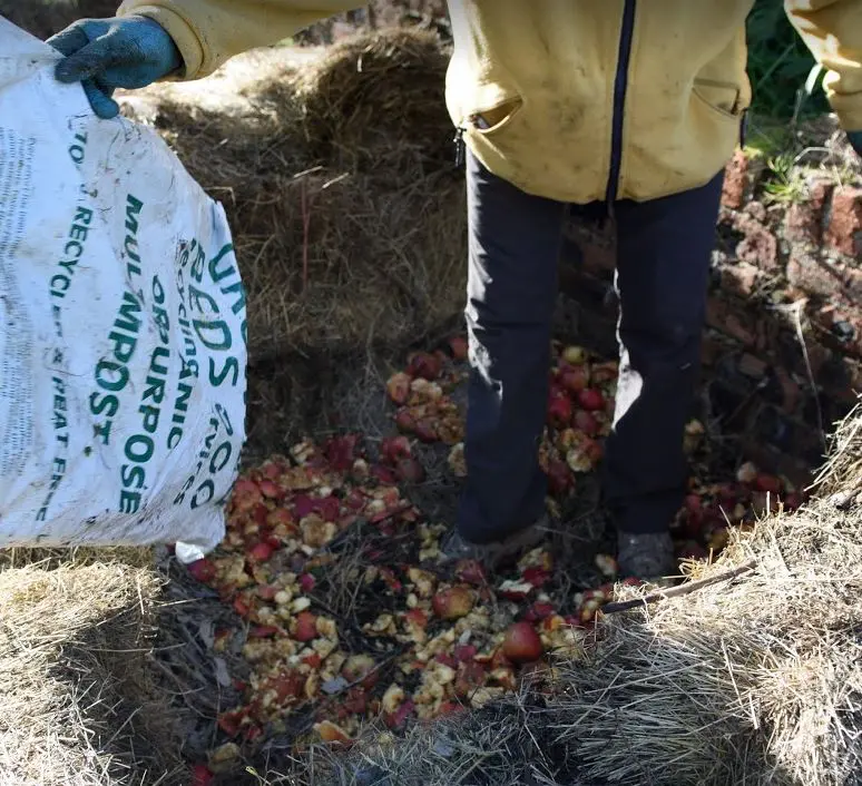 Filling the hay bale compost bin