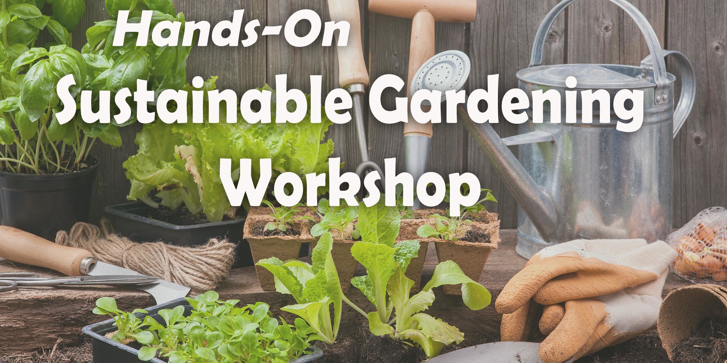 sustainable-gardening-hands-on-workshop-part-1-planting-up