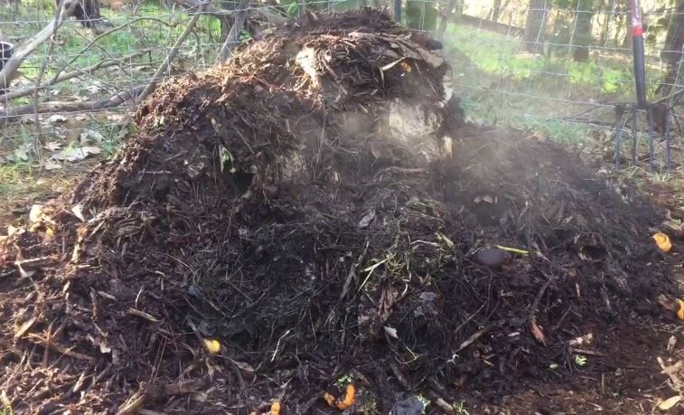 Smoking woodchip pile