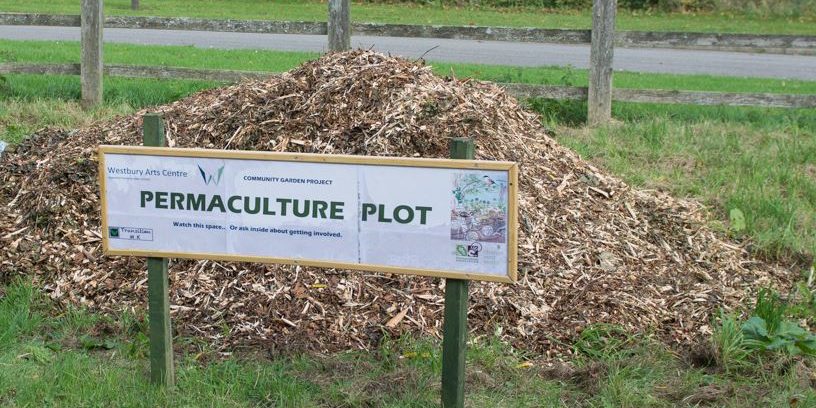 Woodchip-pile First woodchip pile at WAC