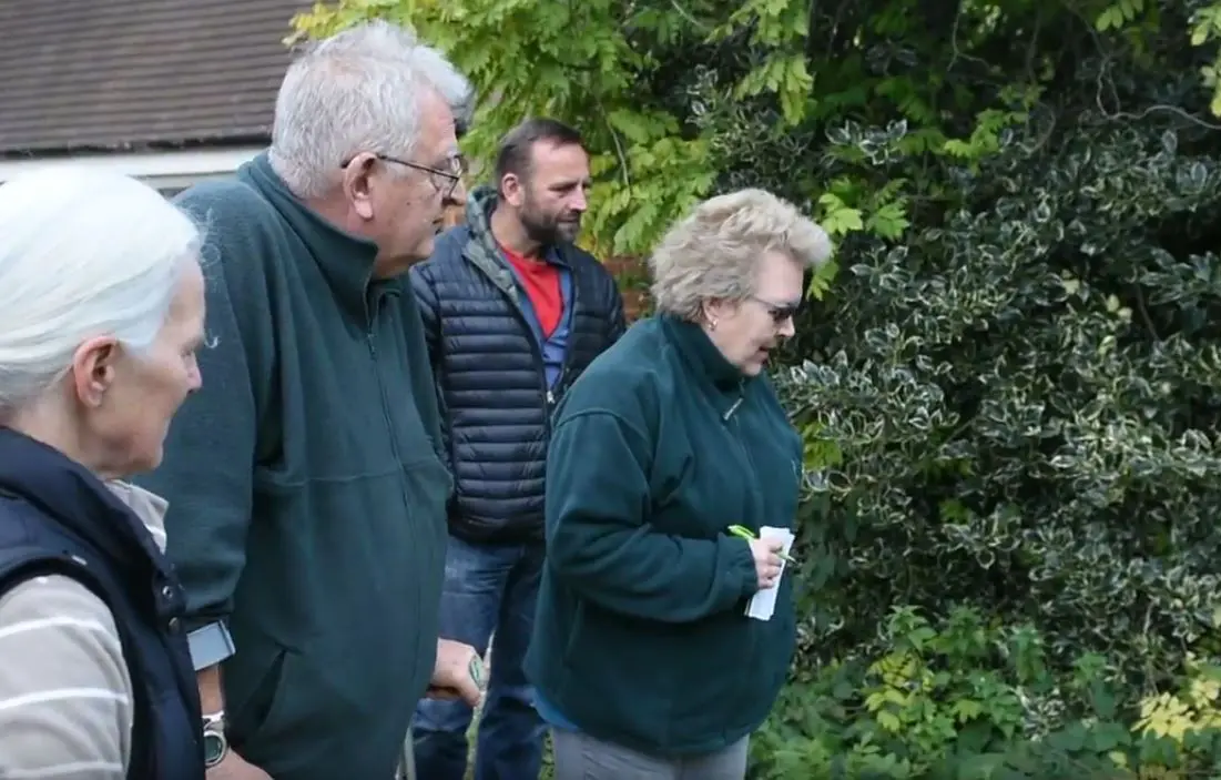 Observing the grounds - comfrey patch Observe and identify the area