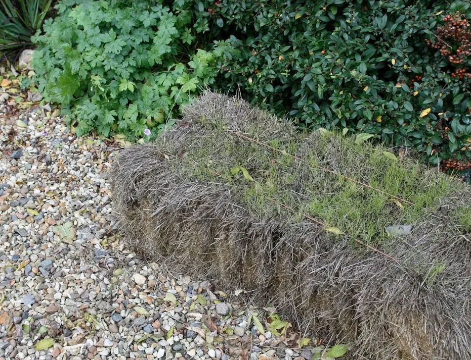 Hay bale we found