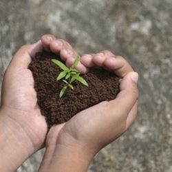 Earth in our hands - shape climate policy climate policy