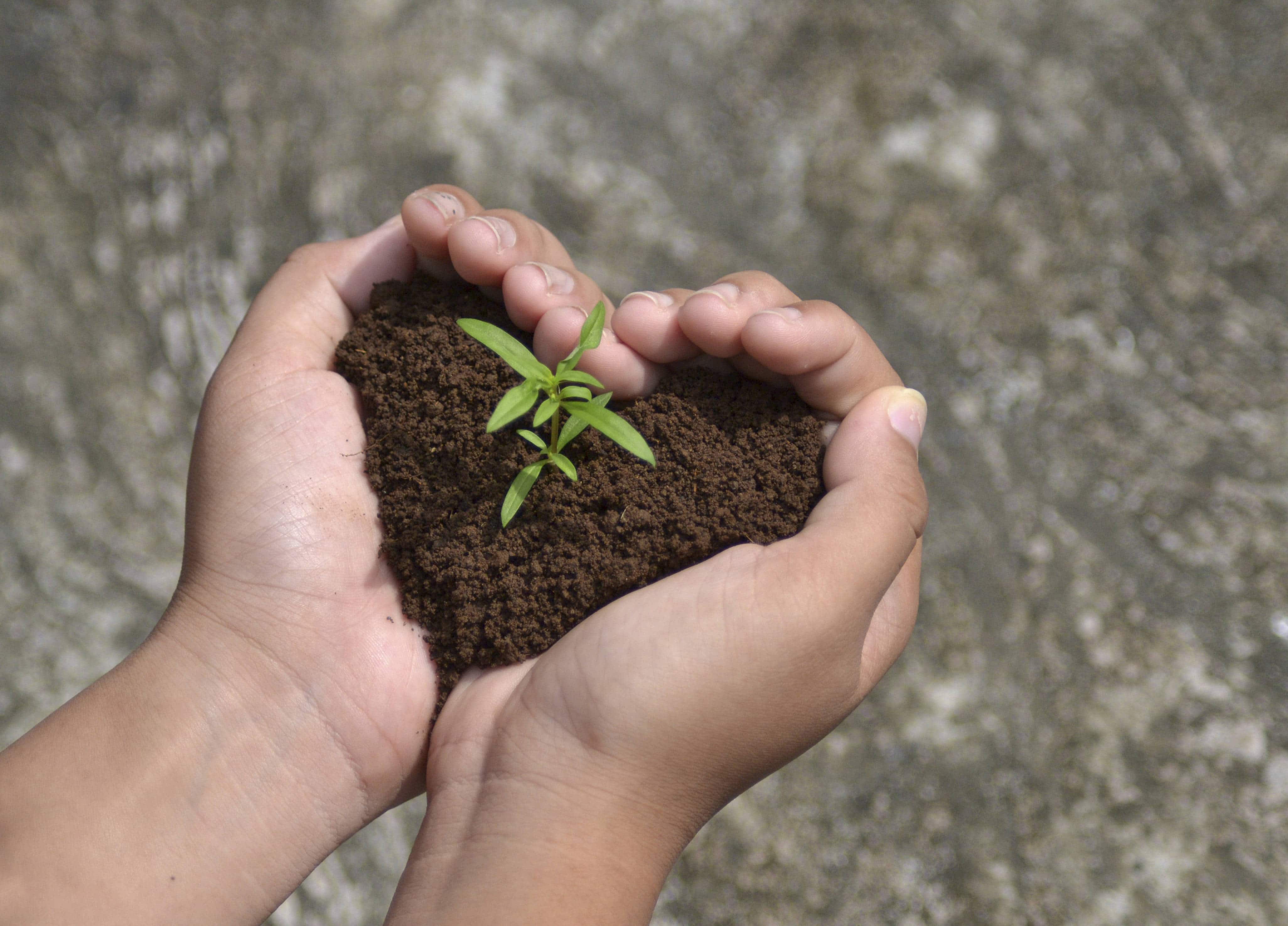 Earth in our hands - shape climate policy climate policy