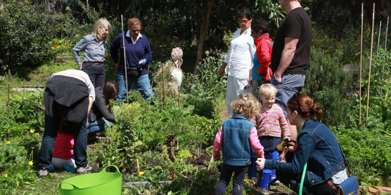 permablitz-activity1