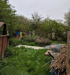 New Permaculture Project hedgerow plot