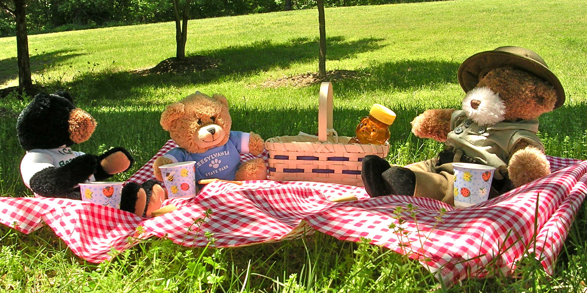 Teddy-picnic_Buckingham-EW_8Jul18