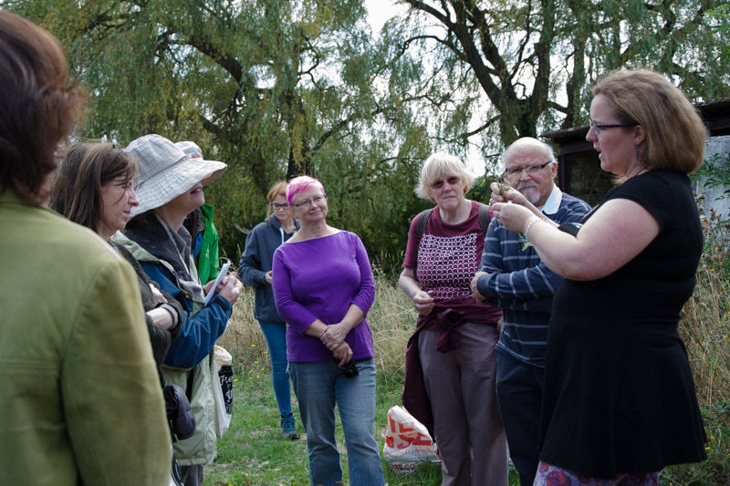 Discovering yarrow