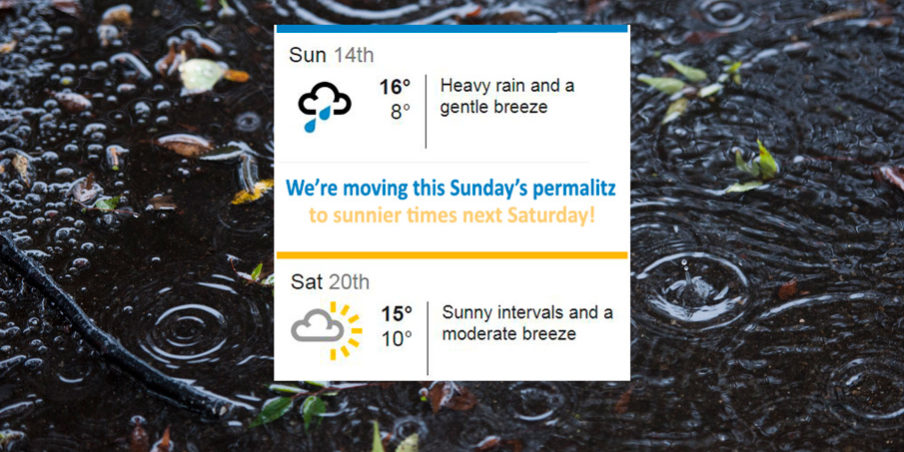 Rain-puddle-in-autumn—permablitz-postponed