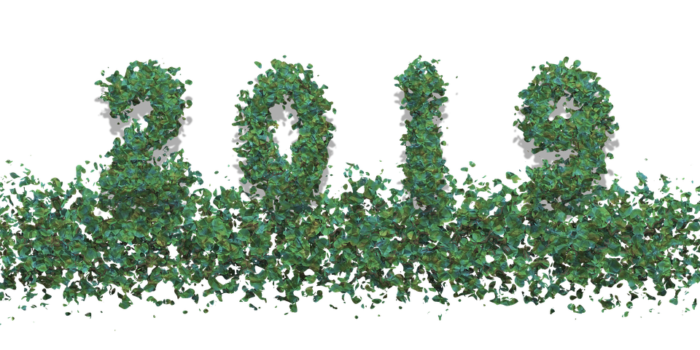 New Year. New Lifestyle in 2019