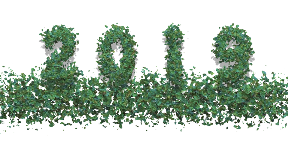 new-year-2019 New Year. New Lifestyle in 2019