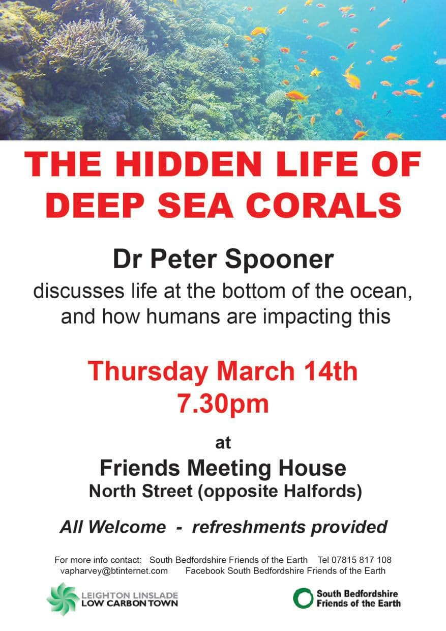 The hidden life of deep sea corals