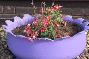 blooming petal tyre planter