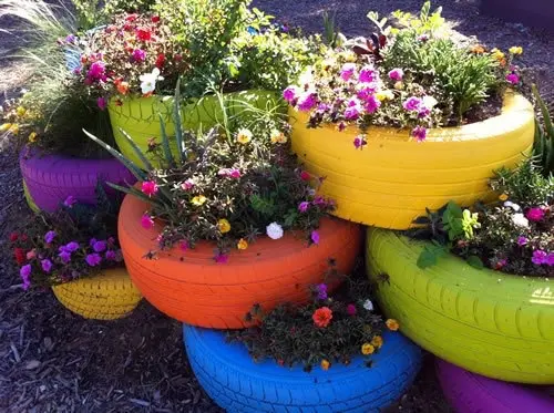 Growing flowers in tyre planters
