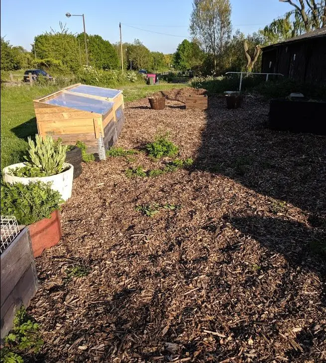 The social area is sprouting weeds