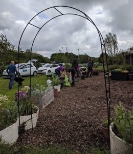 Weeding the social area plot