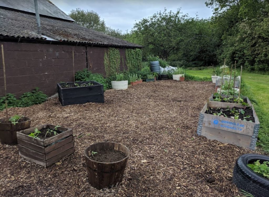 Transformation complete PLANTING UP our permaculture community garden social area