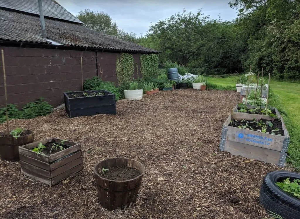 6 Transformed Transformation complete PLANTING UP our permaculture community garden social area