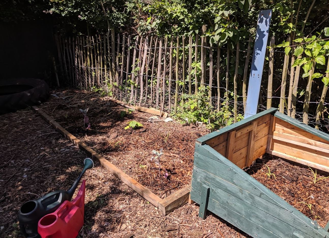 Planting Up our allotment