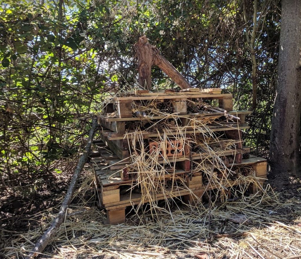 The final insect hotel our volunteers made