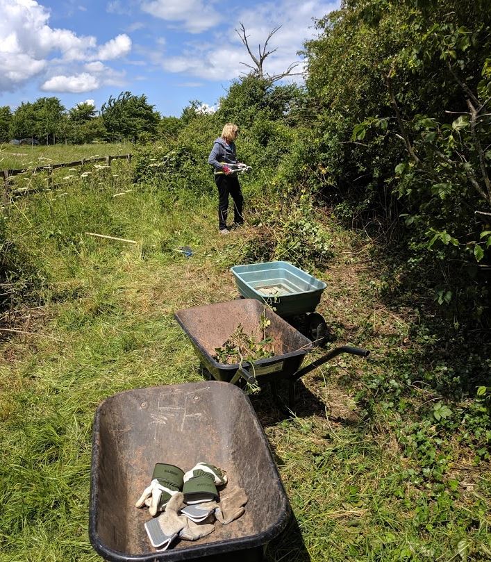 Volunteers from Westbury Arts Centre and Planting Up helped with the clearing