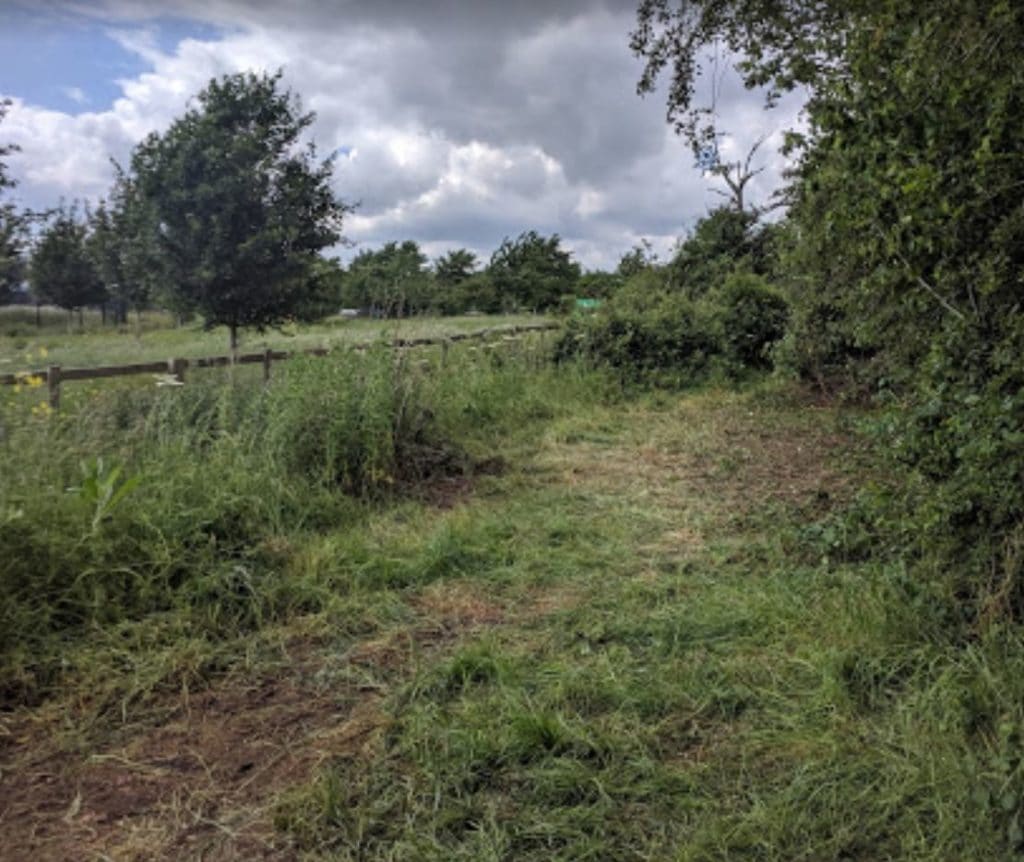 Garden path cleared by our volunteers