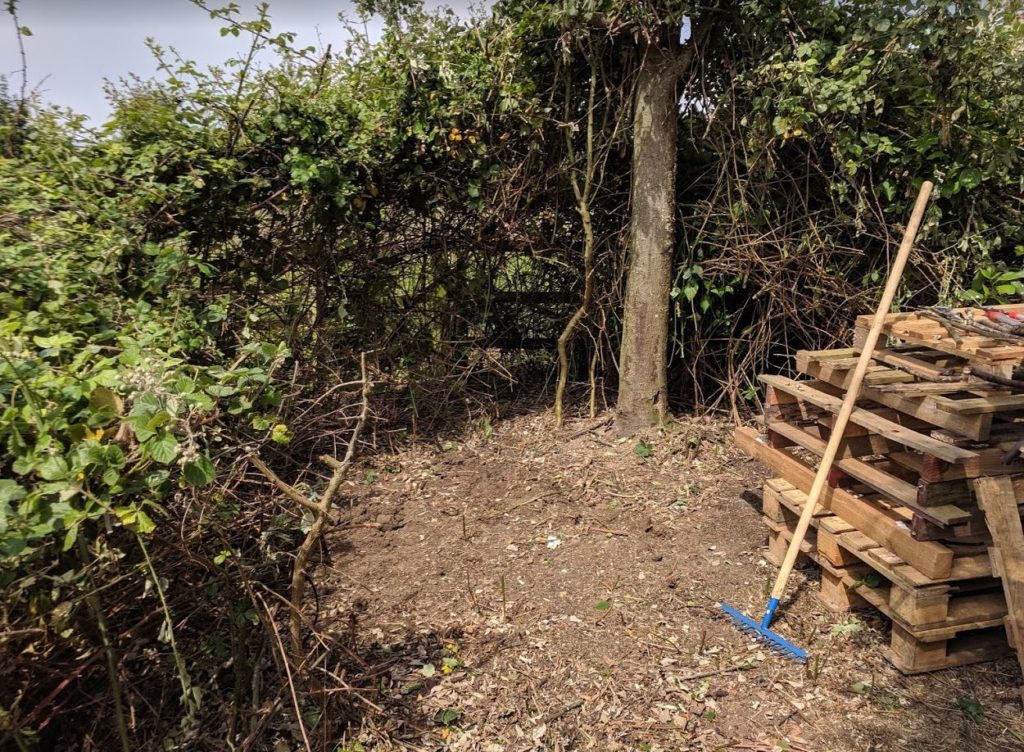 Clearing the area for our insect hotel