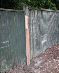 GIV MK volunteers fix the fence for painting