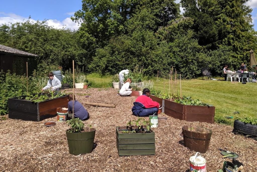 The local school-children transformed our social area