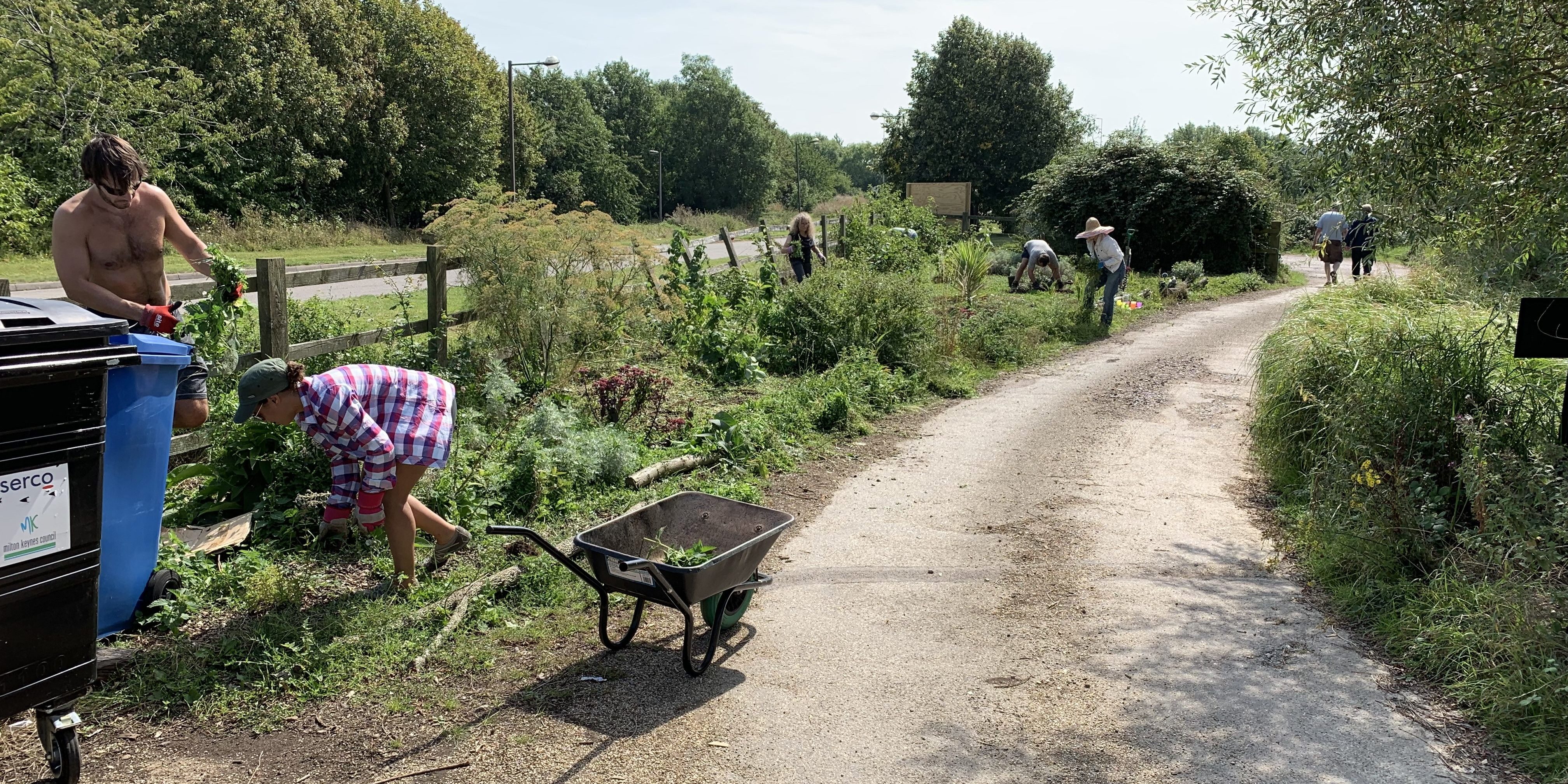 IMG_0579 Clearing bindweed on a perfect permablitz