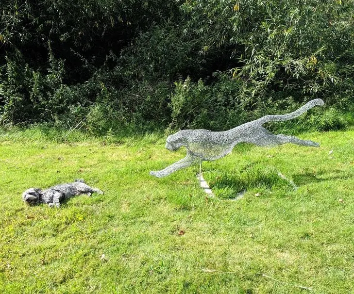 Butters being chased by a big cat at WAC Butters got chased by a big cat