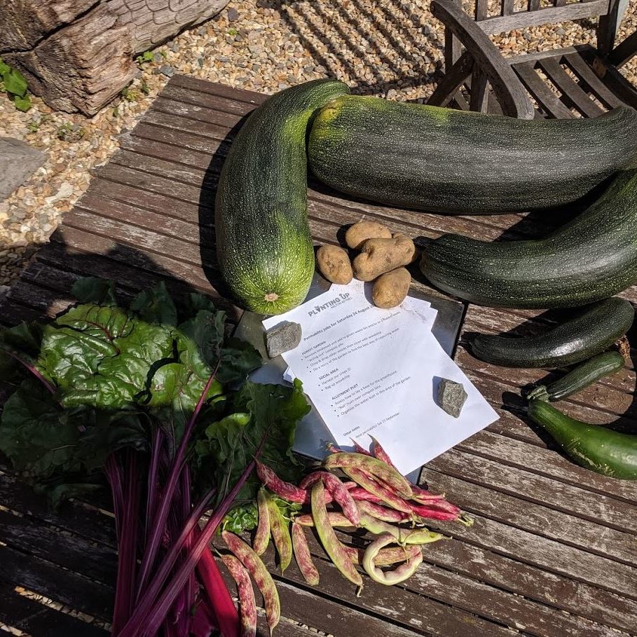 Some produce from the plot