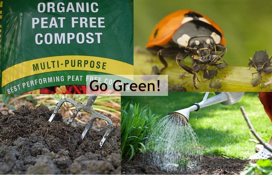 Go green - choose peat free compost