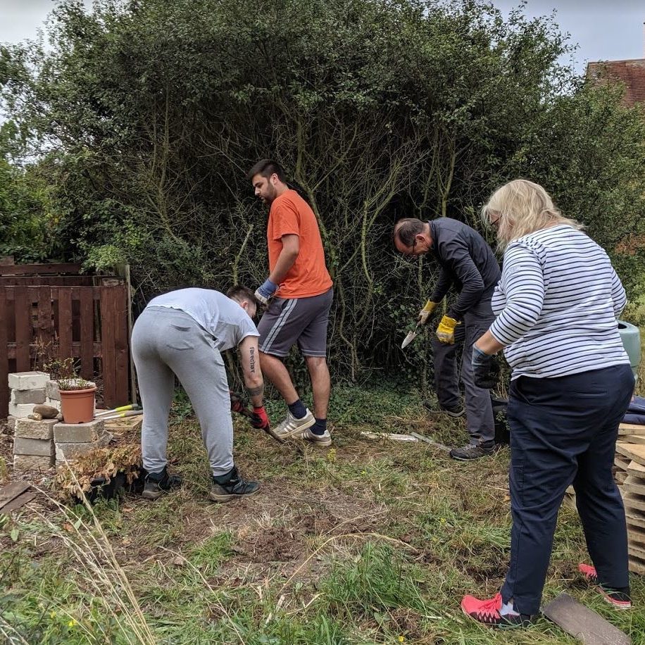 The volunteers weeding the area for the greenhouse