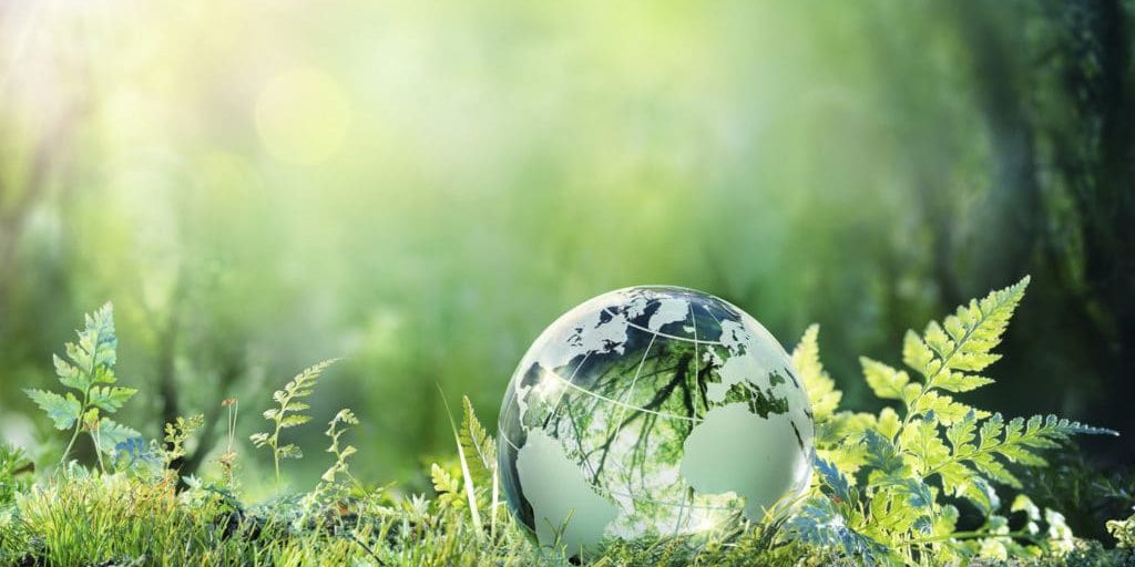 Call for Green Experts