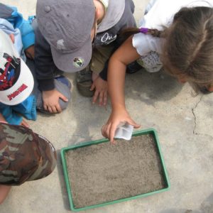 Nature-based group activity for health and wellbeing