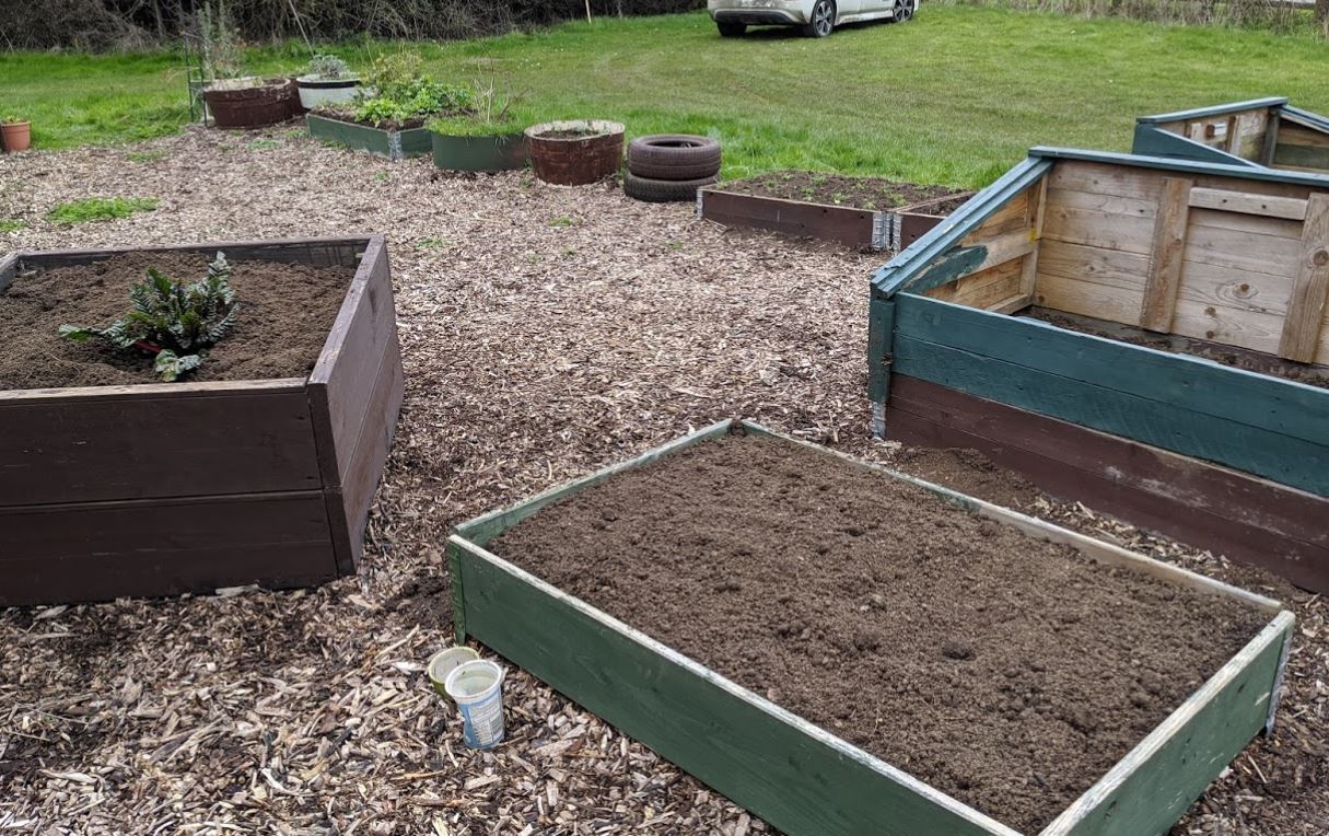 Our raised beds ready for planting