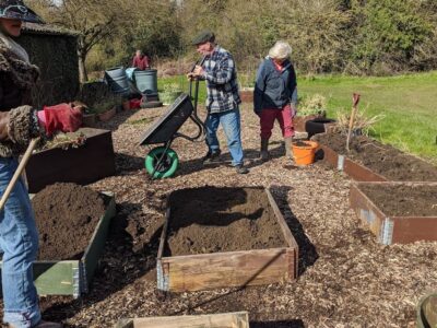 Creating single-storey raised beds