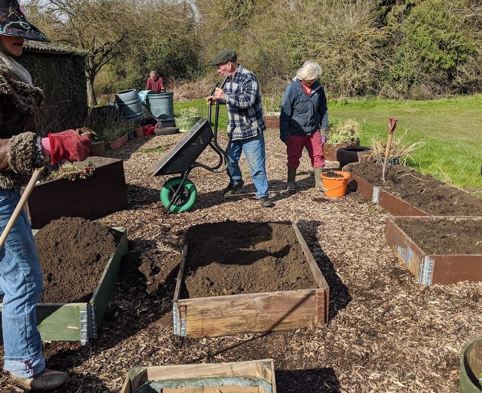 Creating single-storey raised beds