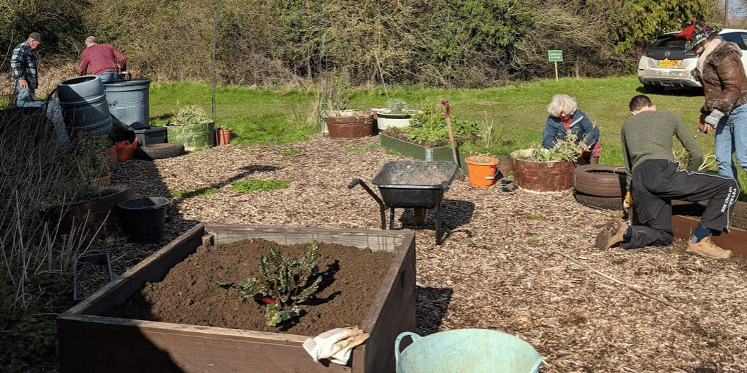 Working in the social area of our community garden