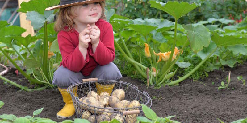 Growing our own food from planting seeds Growing our own food