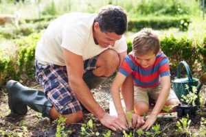 Grow your own food