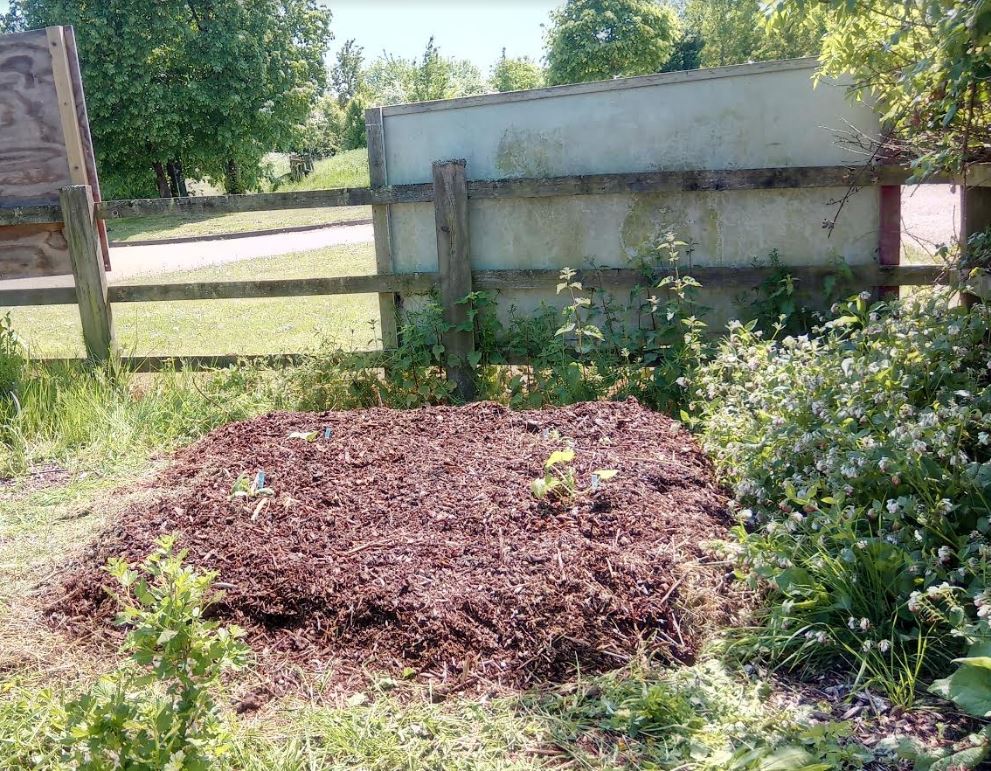 Mulch bed taking shape