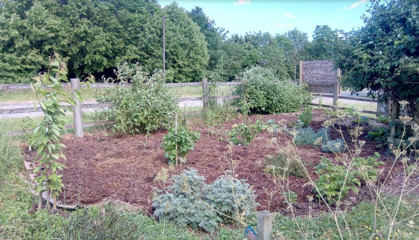 Mulch complete with woodchip top