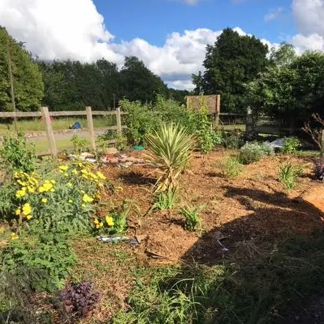 forest garden transformation forest garden transformation