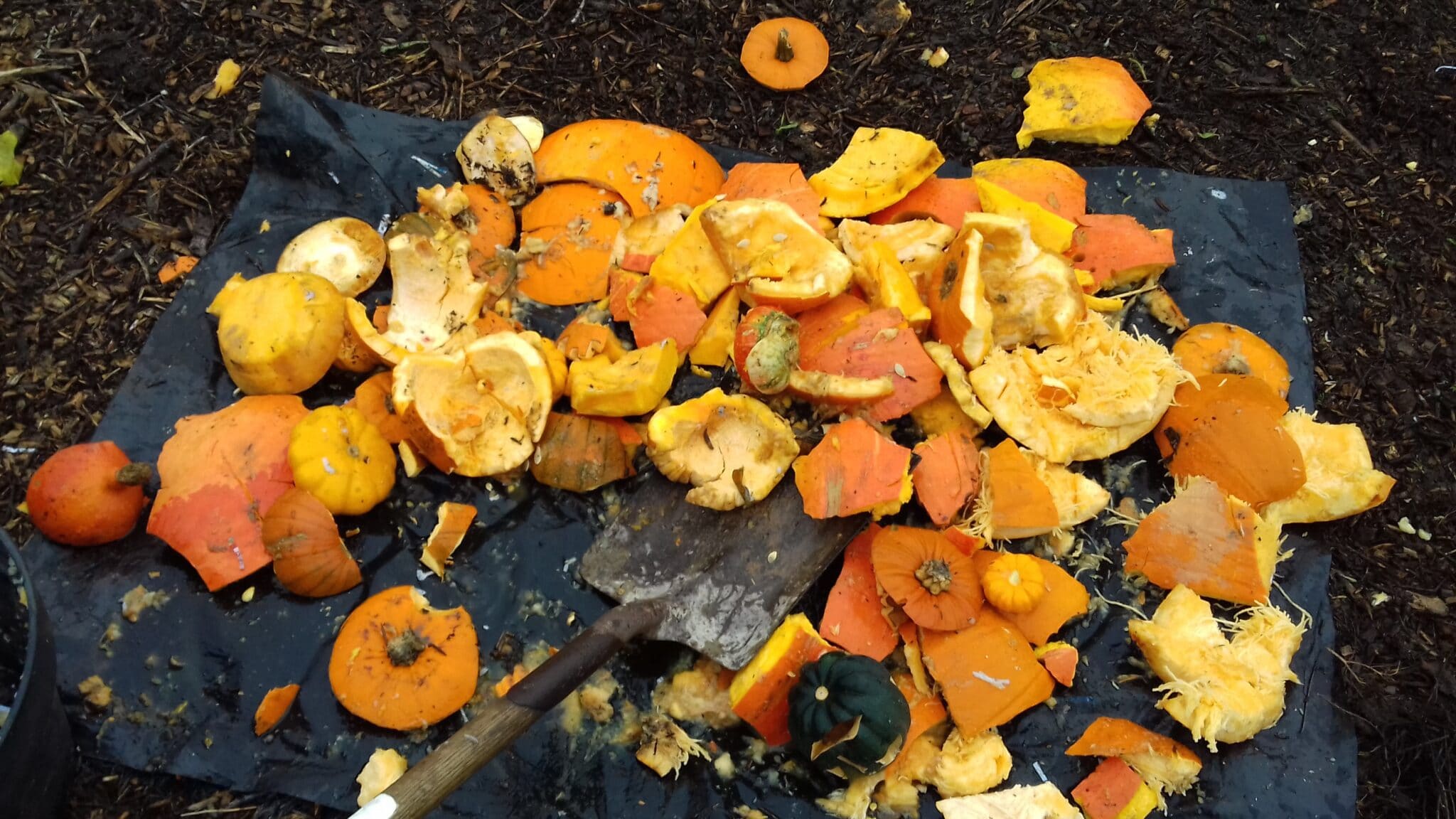 Pumpkin compost (Source: Carry on Composting)